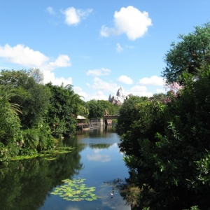 Animal Kingdom Everest 10-2007