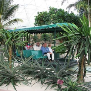 Greenhouse-Tour---Boat-web