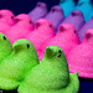 412628363_02d9a3fcc6_s1