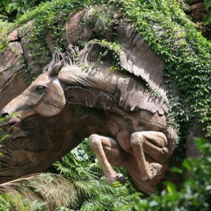 Tree of Life close-up