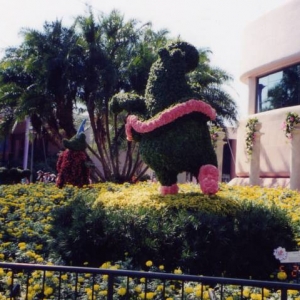 Fantasia_4_-_HippoP