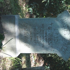 master_graceys_grave_with_roses_small