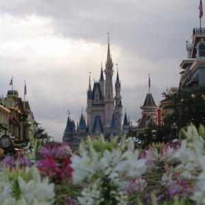 Castle and Flowers