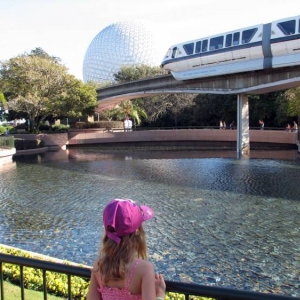 Epcot Accident