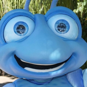 Flik close-up