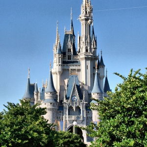 Castle with flowers