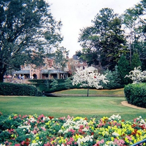 Springtime in DW