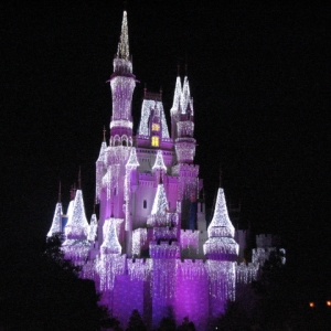 Purple Castle