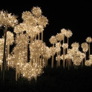 Spectacular lights!