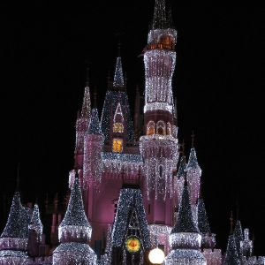 Cinderella Castle at night