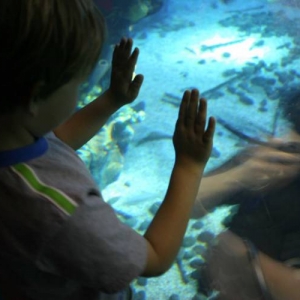 Discovery at the Living Seas