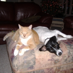 Max and Bugsy
