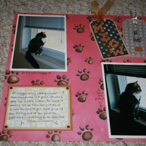 cats_2_small