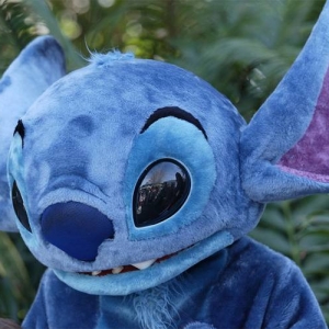 Stitch