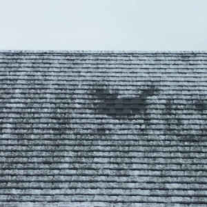 On My Roof - do you see it?
