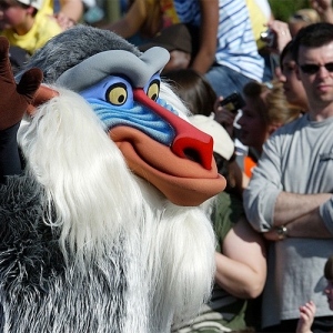 Rafiki in the parade