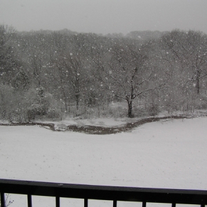 March 2008 Snow- Back yard