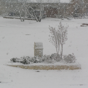 SnowMailbox