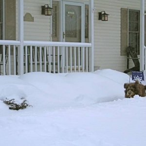 snow4
