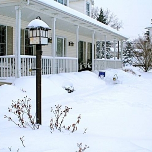 snow1
