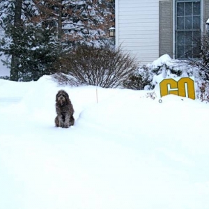 snow2