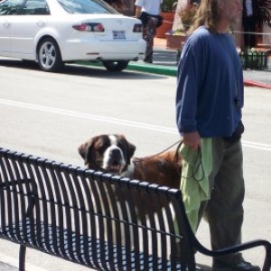 beethoven_with_trainer