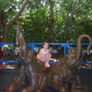 animalkingdom