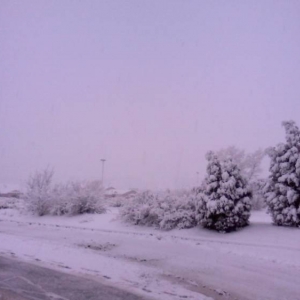 Colorado Spring Morning