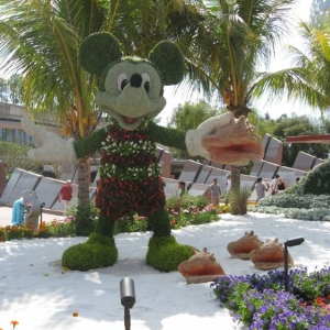 Flower and Garden Entrance display