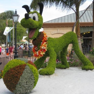 Epcot 2008 Flower and Garden