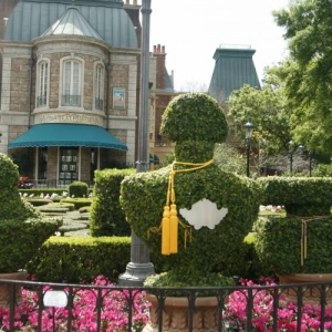 Epcot 2008 Flower and Garden