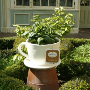 Epcot 2008 Flower and Garden