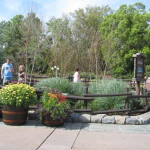 Epcot 2008 Flower and Garden