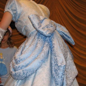 Cinderella's Bustle