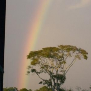 rainbow