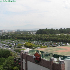 Disneyland Hotel - Dream Tower Room