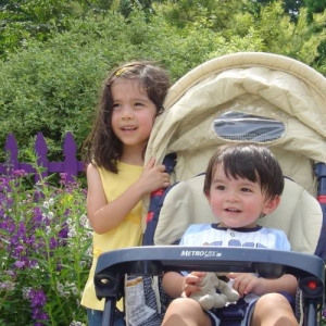 Brookside Gardens - Sea of Purple