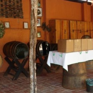 tequila1