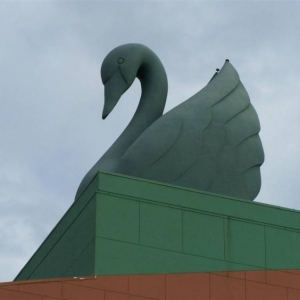 swan_Large_