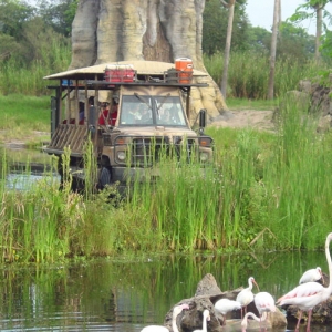 Kilimanjaro Safaris