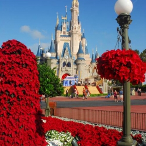 MK Main Street Circle with Christmas Decorations