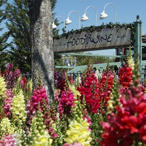 Food and Wine sign