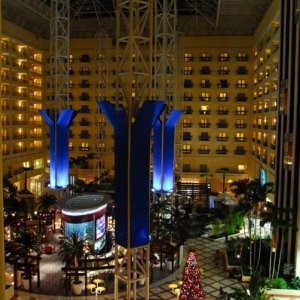 Marriott Rennaissance SW Orlando-Nightime