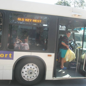 newer WDW bus