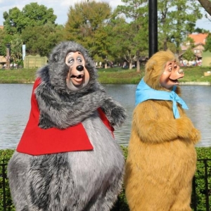 Country Bears