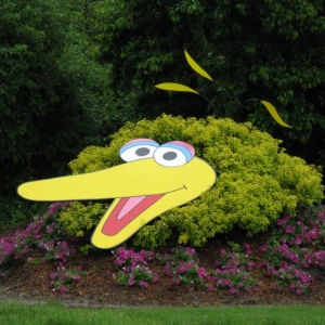 Sesame Place - Landscaping (Big Bird Shrubbery)