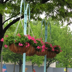 Sesame Place - Landscaping (Hanging Plants)