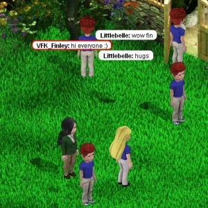fin_small1