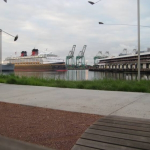 Disney Magic in Los Angeles 2008