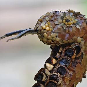 Chinese new year - snake